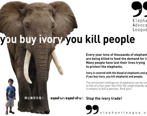 EAL - IF YOU BUY IVORY YOU KILL PEOPLE