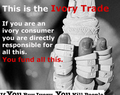 Elephant Action League - If You Buy Ivory You Kill People - Ivory & Terrorism