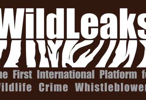 WildLeaks logo small