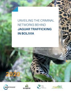 Operation jaguar trafficking bolivia