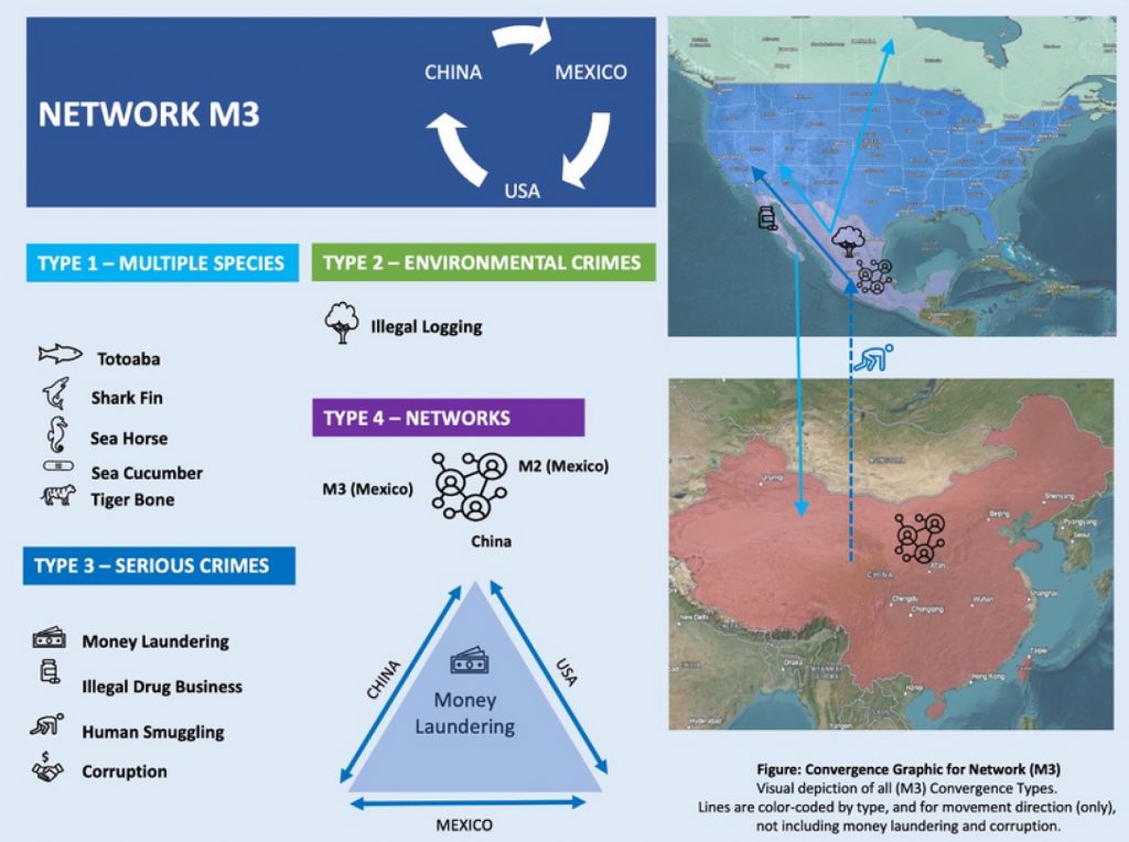 Environmental Crime Convergence