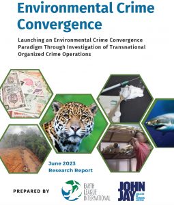 Environmental Crime Convergence