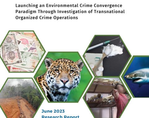 Environmental Crime Convergence