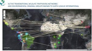 wildlife trafficking networks